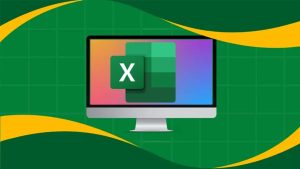 Udemy - Learn Advanced Excel Formulas Functions and VBA Macros